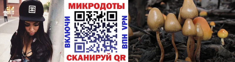 Галлюциногенные грибы GOLDEN TEACHER Бирюсинск