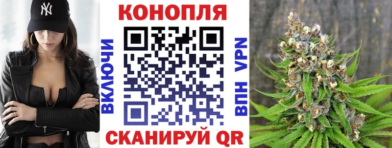 продажа наркотиков  Бирюсинск  Бошки марихуана гибрид 